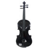VIOLIN GUARNERI NEGRO